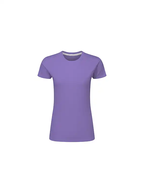 Aster Purple