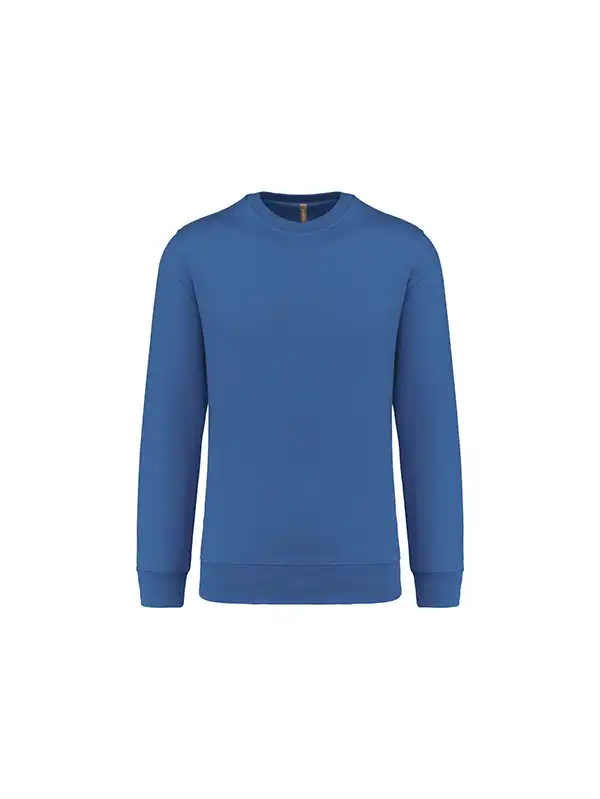 Light Royal Blue