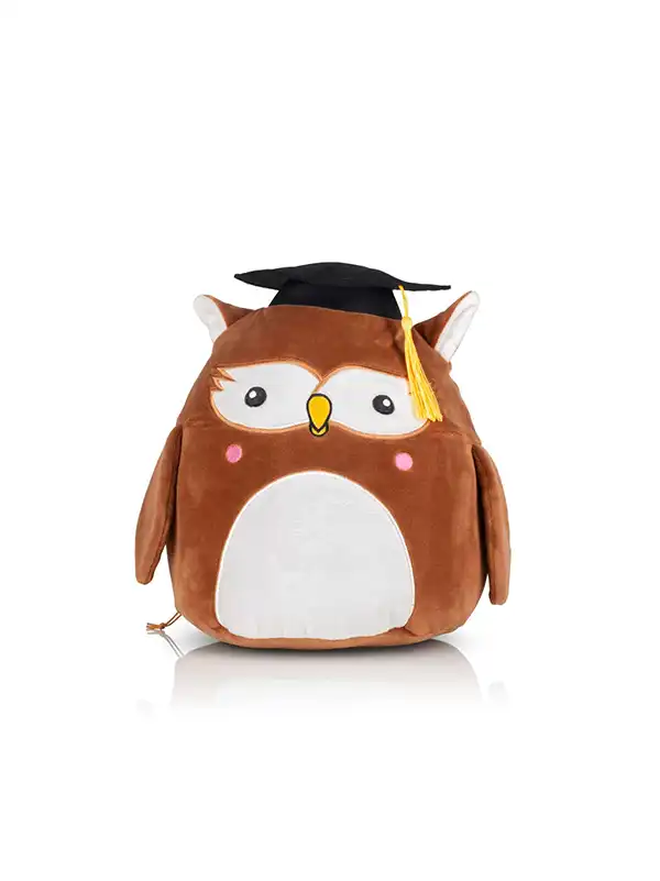 Squidgy Wise Owl