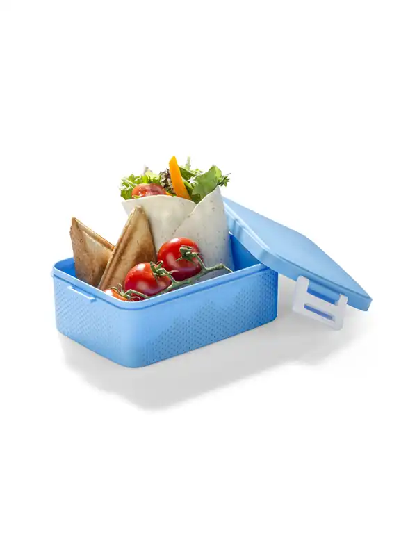 Posoda za hrano - Blue - Food container PANINI 900 ml BLCO-16508